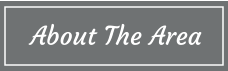 About the Area